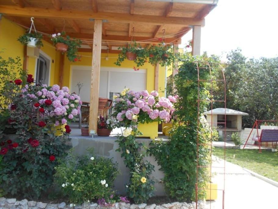 Apartment Luna 4 Person Bribir  Exterior foto